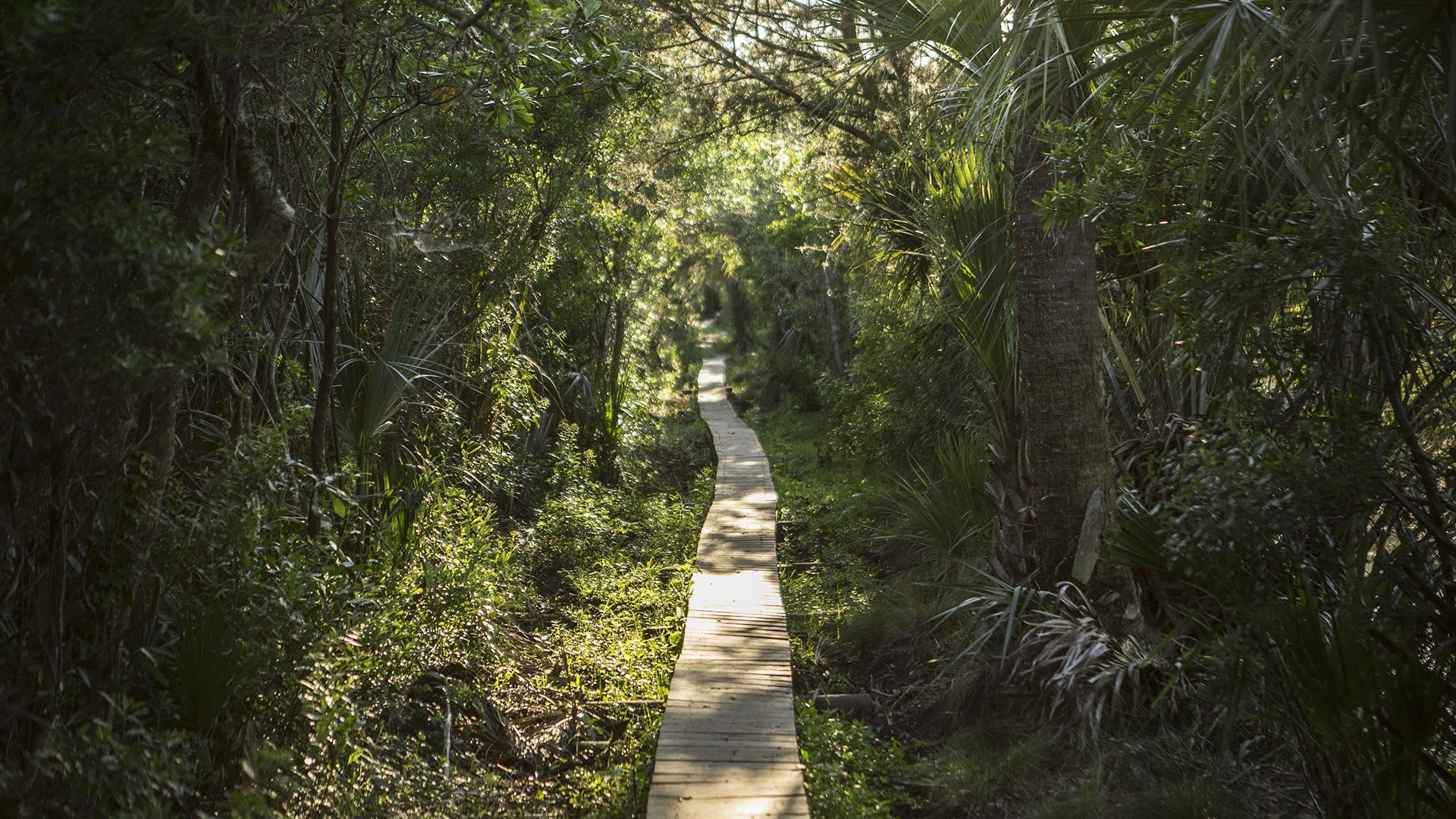 Weekend Getaway to Cumberland Island, Georgia