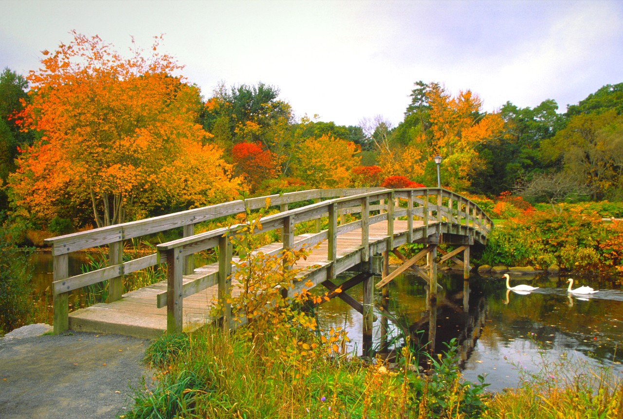 Small River in Plymouth, Massachusetts