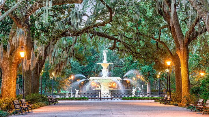 savannah